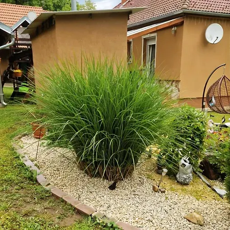 Erdoszeli Appartement