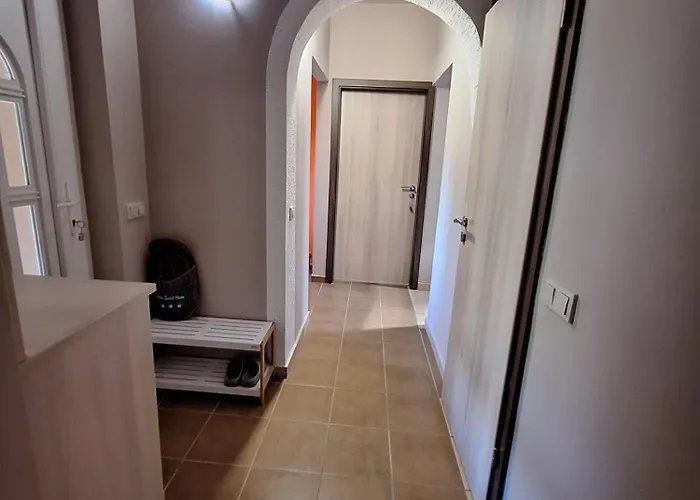 Erdőszéli Szoce